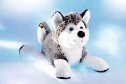 Schaffer 4741 Schlittenhund Polarhund Husky Ca 24cm Kuscheltier Plüschtier 6 Schaffer 4741 Schlittenhund Polarhund Husky Ca 24cm Kuscheltier Plüschtier -Optimal Plüschtier Geschäft 571Sf3BPyVHBWC1