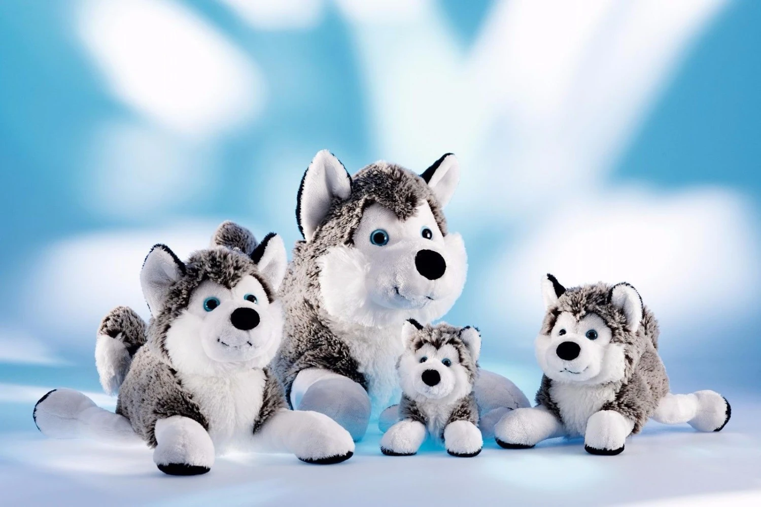 Schaffer 4741 Schlittenhund Polarhund Husky Ca 24cm Kuscheltier Plüschtier 1 Schaffer 4741 Schlittenhund Polarhund Husky Ca 24cm Kuscheltier Plüschtier