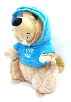 Biber Mit Hoodie Ca 38cm Plüsch Kuscheltier 3855 - Blau "I Like You"
